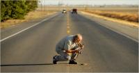 ROADKILL1-articleLarge.jpg ROADKILL1-articleLarge.jpg