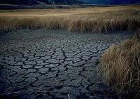 drought.jpg drought.jpg