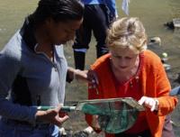 eco_river_260.jpg eco_river_260.jpg