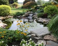 garden.jpg garden.jpg