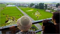 riceart.jpg riceart.jpg