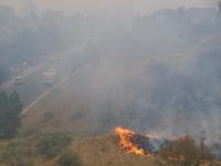 wildlandfire.jpg wildlandfire.jpg